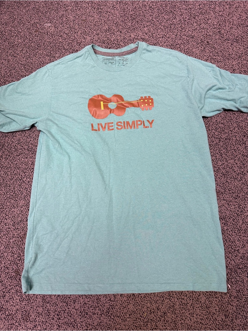 Patagonia Light Teal 'Live Simply' Guitar Graphic Tee